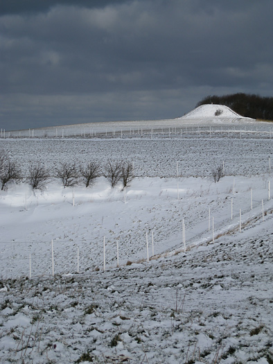 Jelshøj med sne
