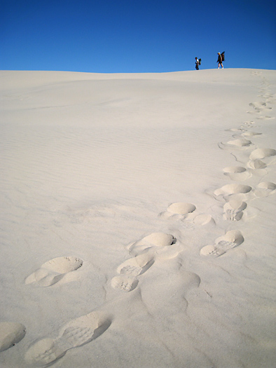 Råbjerg mile