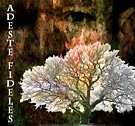 grunge